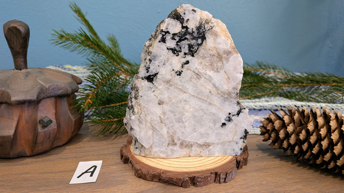 White, Black Rainbow Moonstone Freeshapes - Variant A