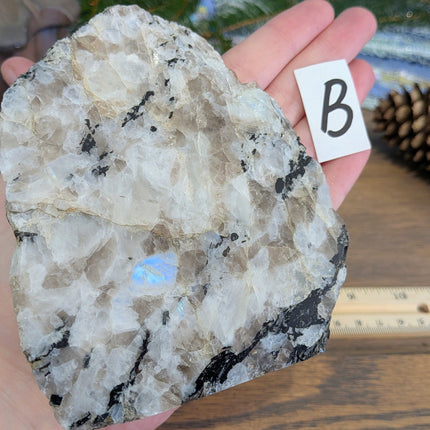 Rainbow Moonstone Freeshapes