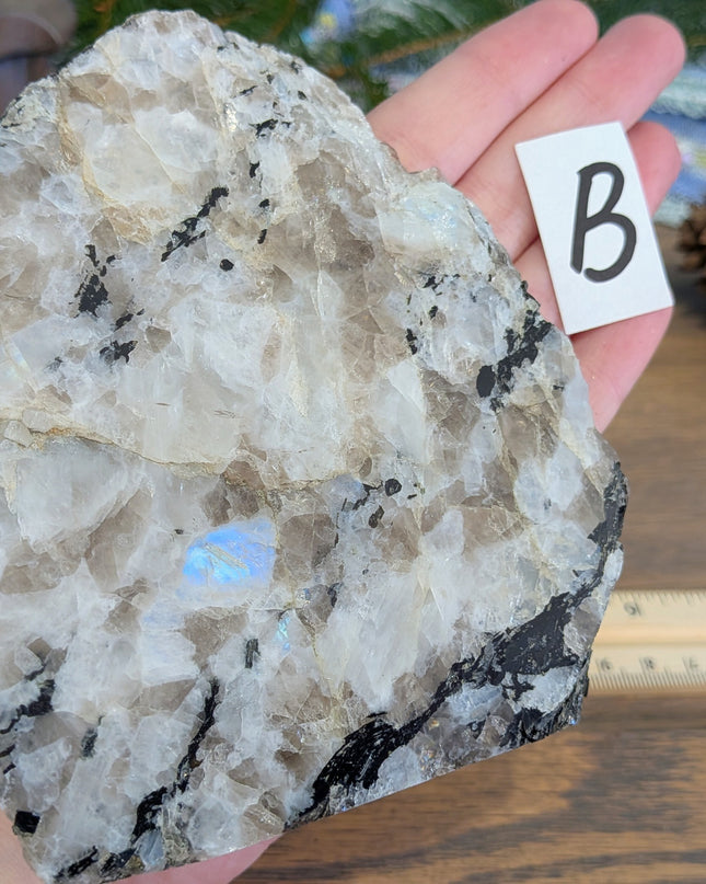 Rainbow Moonstone Freeshapes