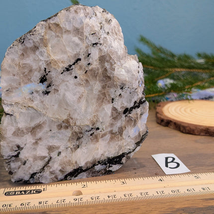 Rainbow Moonstone Freeshapes