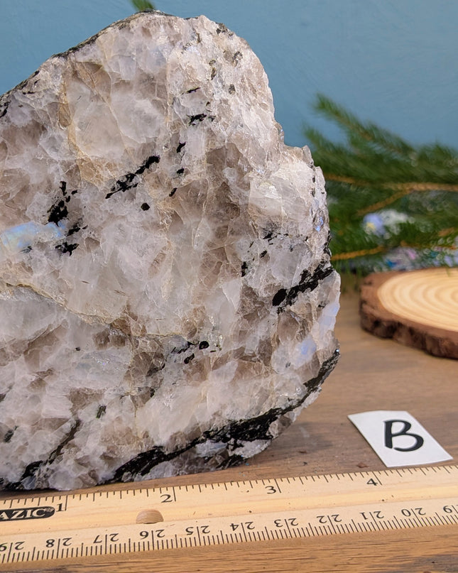 Rainbow Moonstone Freeshapes