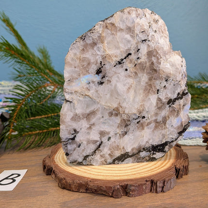 White, Black Rainbow Moonstone Freeshapes - Variant B