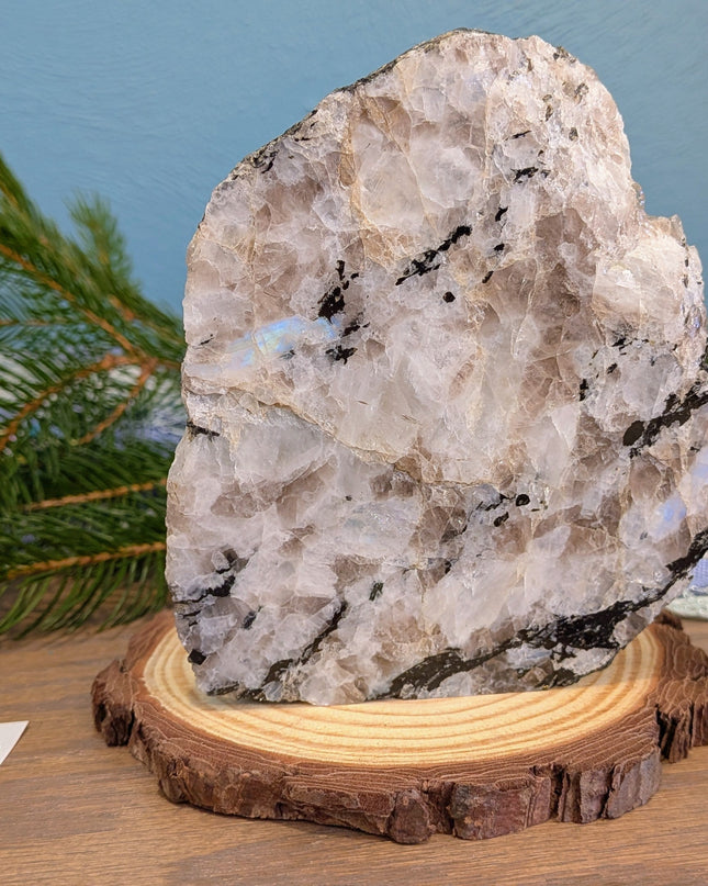 White, Black Rainbow Moonstone Freeshapes - Variant B