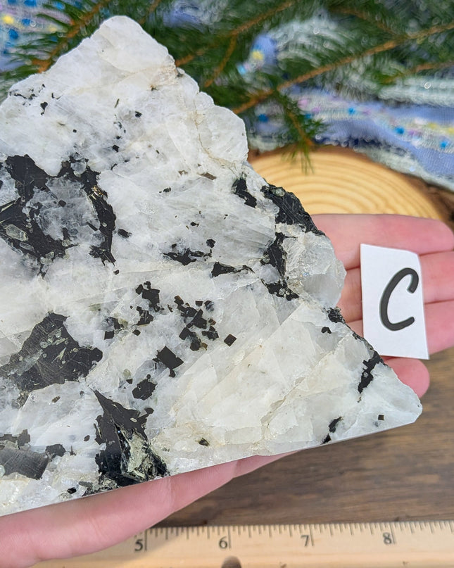 Rainbow Moonstone Freeshapes