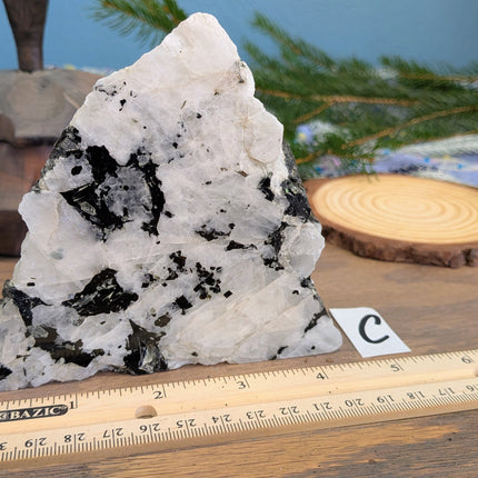 Rainbow Moonstone Freeshapes