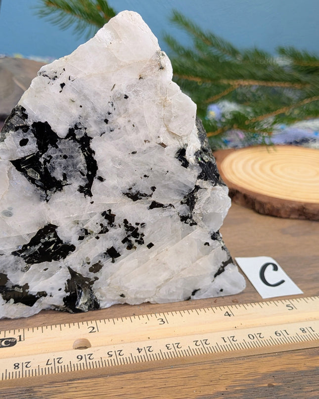 Rainbow Moonstone Freeshapes