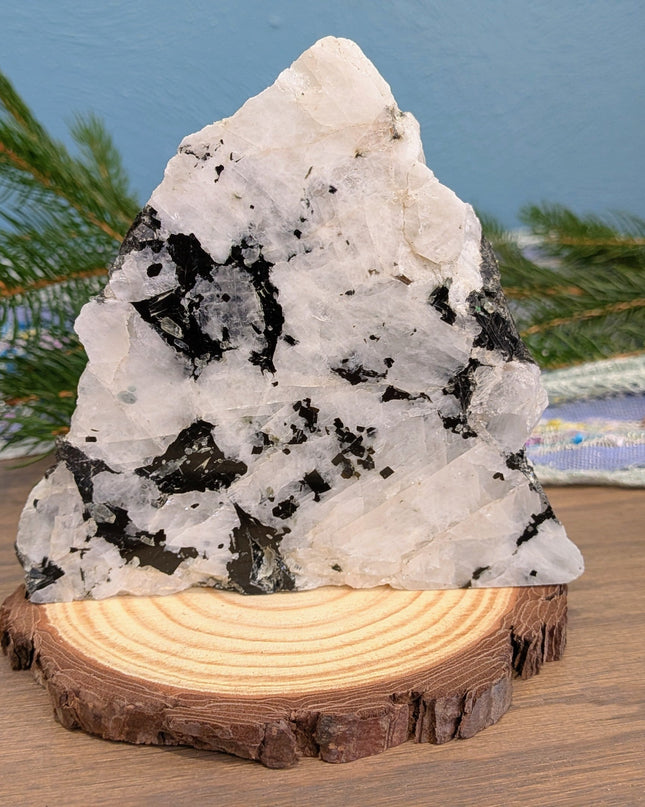 White, Black Rainbow Moonstone Freeshapes - Variant C