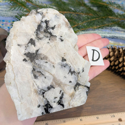 Rainbow Moonstone Freeshapes