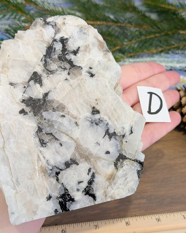 Rainbow Moonstone Freeshapes