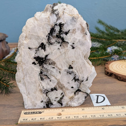 Rainbow Moonstone Freeshapes