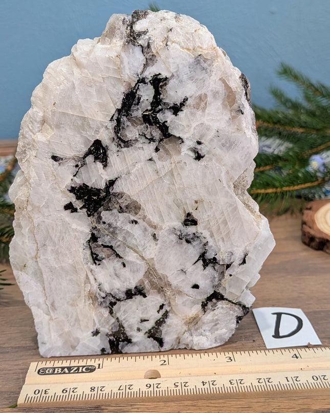 Rainbow Moonstone Freeshapes