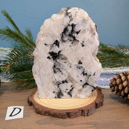 White, Black Rainbow Moonstone Freeshapes - Variant D