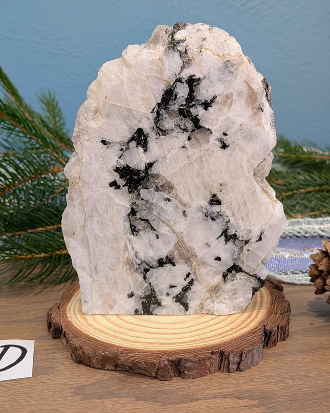 White, Black Rainbow Moonstone Freeshapes - Variant D