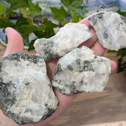 White, Black Rainbow Moonstone Rough Stones