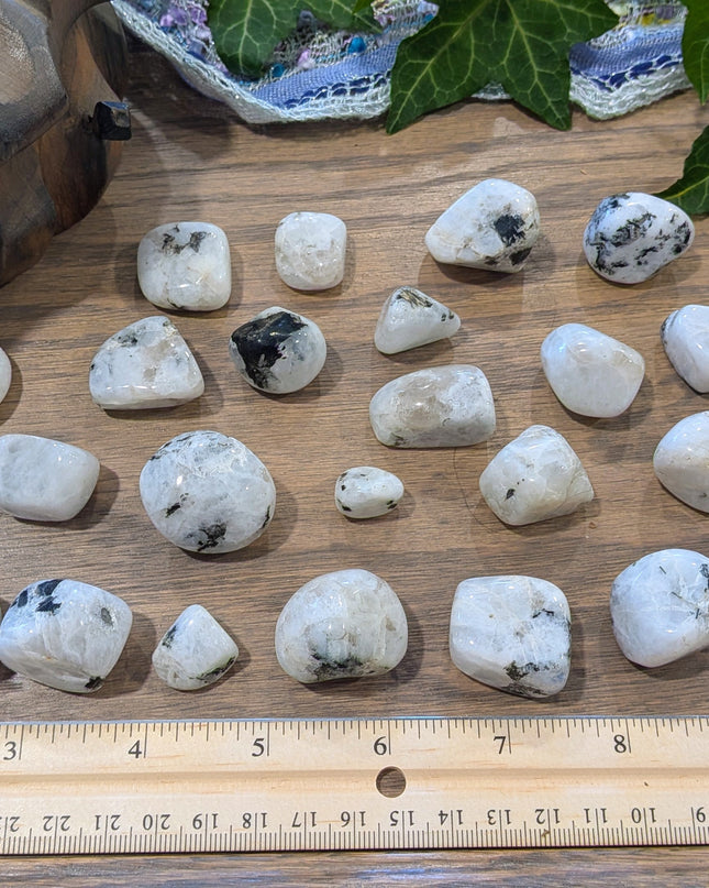 White, Black Rainbow Moonstone Tumbled Stones