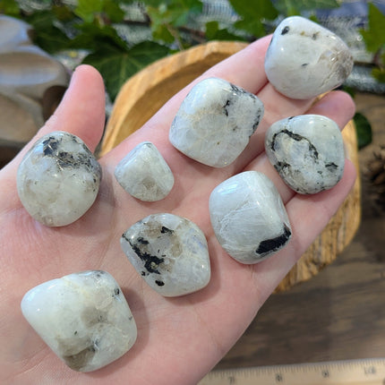 White, Black Rainbow Moonstone Tumbled Stones