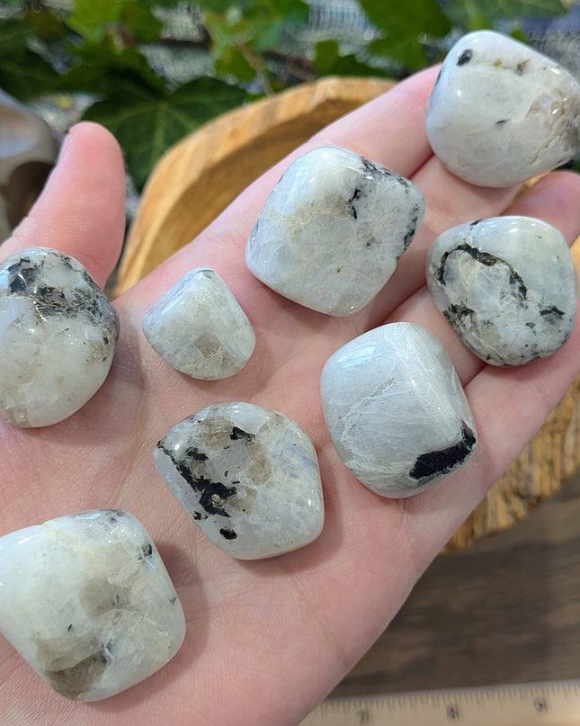 White, Black Rainbow Moonstone Tumbled Stones