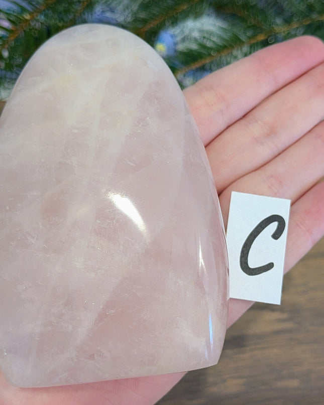 Pink Rose Quartz Freeforms - Variant C