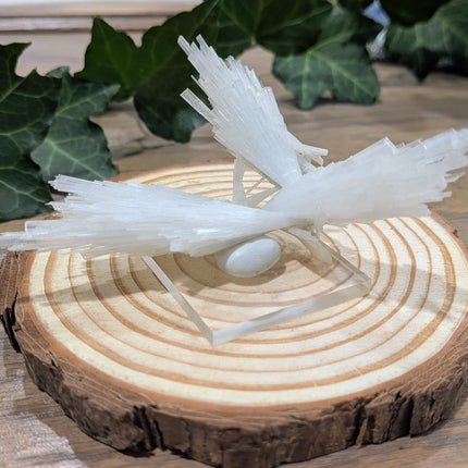 White Scolecite with Stilbite Specimen