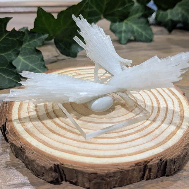 White Scolecite with Stilbite Specimen