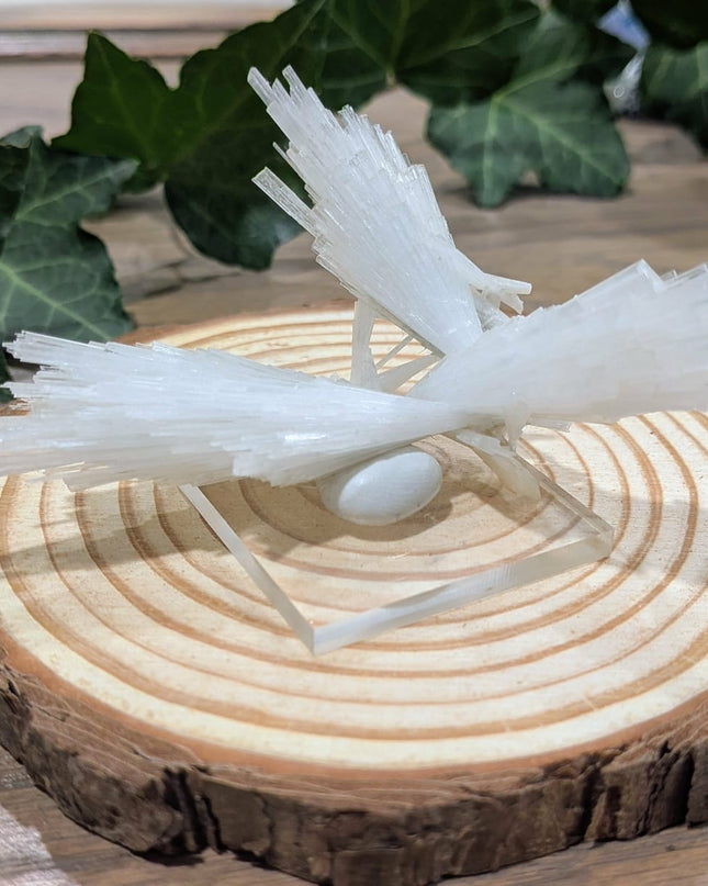 White Scolecite with Stilbite Specimen