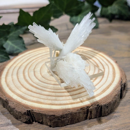 White Scolecite with Stilbite Specimen