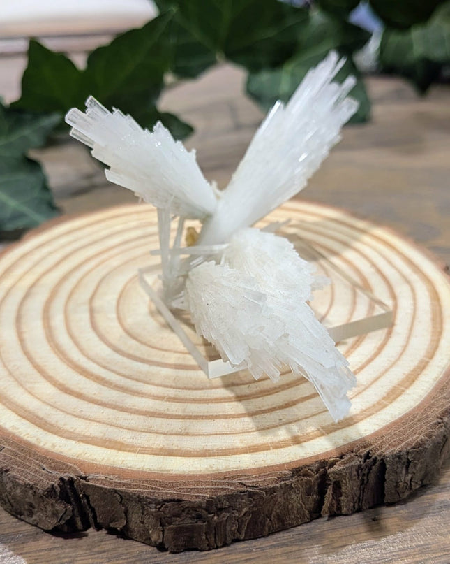 White Scolecite with Stilbite Specimen