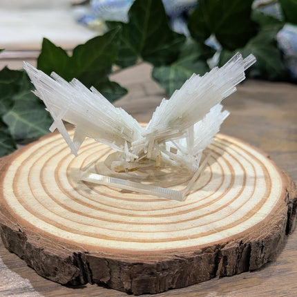 White Scolecite with Stilbite Specimen