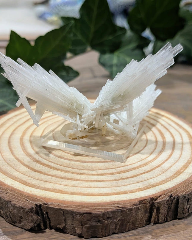 White Scolecite with Stilbite Specimen