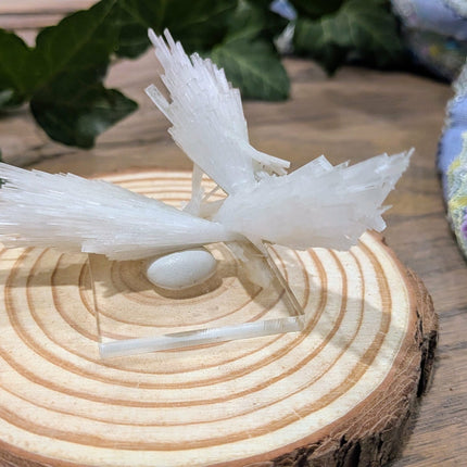 White Scolecite with Stilbite Specimen