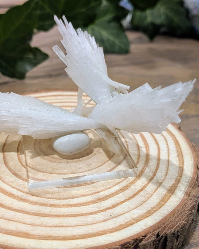 White Scolecite with Stilbite Specimen
