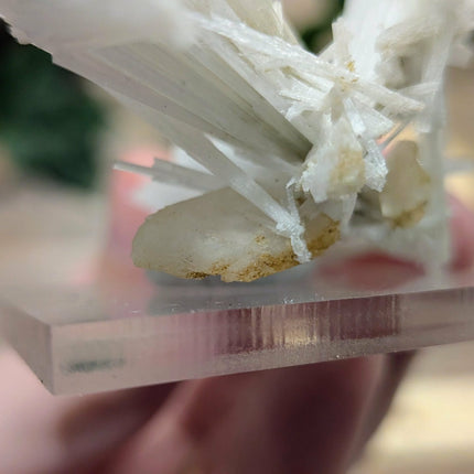 White Scolecite with Stilbite Specimen