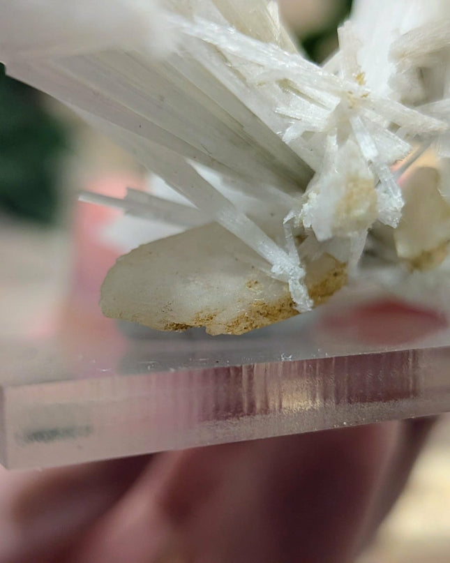 White Scolecite with Stilbite Specimen