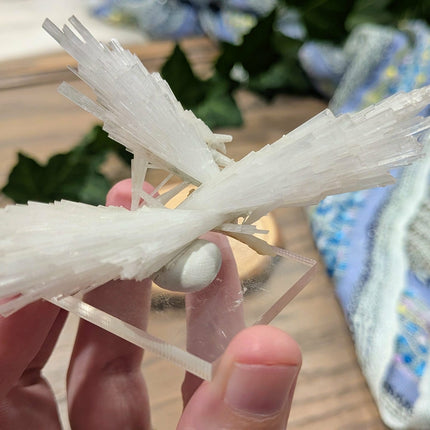 White Scolecite with Stilbite Specimen