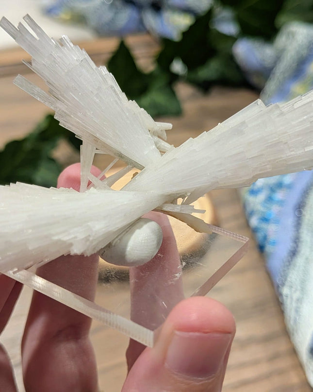 White Scolecite with Stilbite Specimen