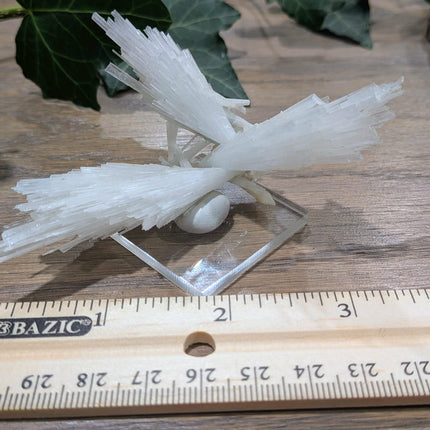 White Scolecite with Stilbite Specimen