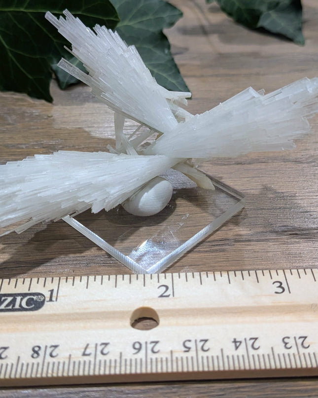White Scolecite with Stilbite Specimen
