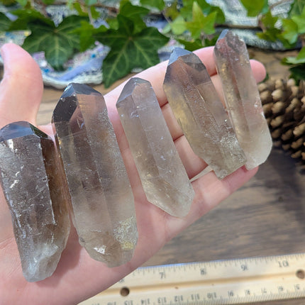 Grey Smoky Quartz Rough Points