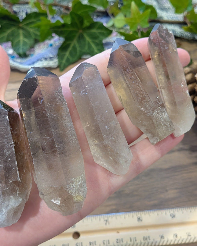 Grey Smoky Quartz Rough Points