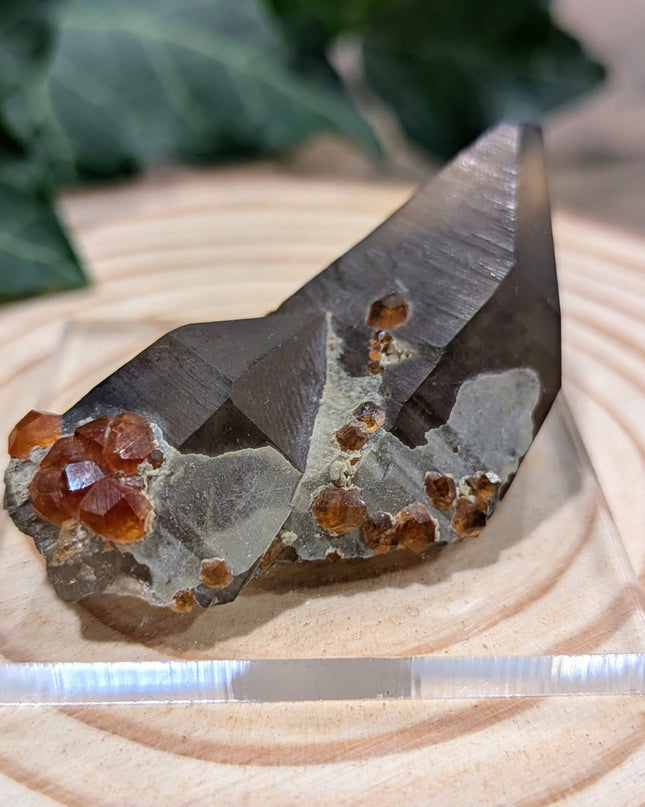 White, Grey, Orange Spessartine and Hyalite on Smoky Quartz Specimen