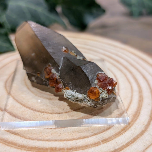 White, Grey, Orange Spessartine and Hyalite on Smoky Quartz Specimen