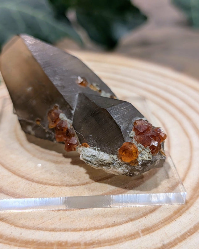 White, Grey, Orange Spessartine and Hyalite on Smoky Quartz Specimen