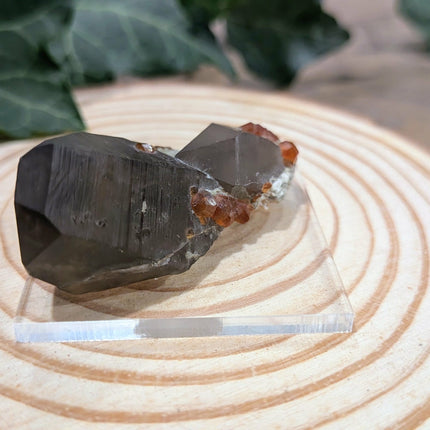 White, Grey, Orange Spessartine and Hyalite on Smoky Quartz Specimen
