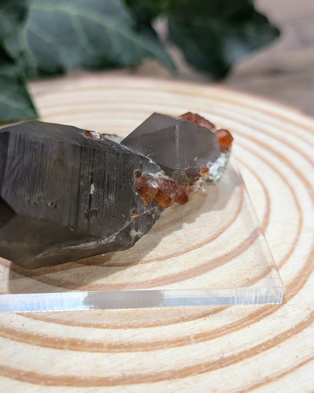 White, Grey, Orange Spessartine and Hyalite on Smoky Quartz Specimen