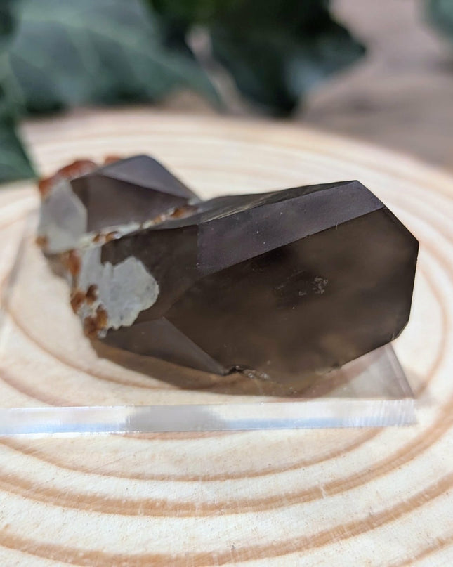 White, Grey, Orange Spessartine and Hyalite on Smoky Quartz Specimen