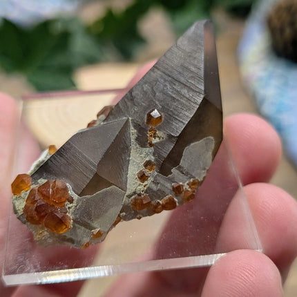 White, Grey, Orange Spessartine and Hyalite on Smoky Quartz Specimen