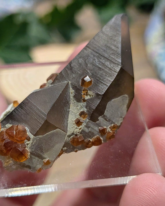 White, Grey, Orange Spessartine and Hyalite on Smoky Quartz Specimen