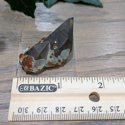White, Grey, Orange Spessartine and Hyalite on Smoky Quartz Specimen