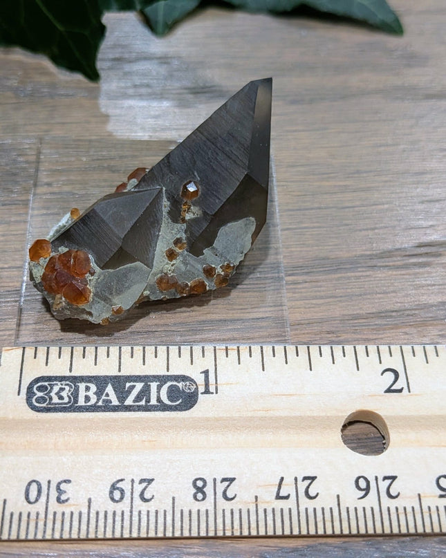 White, Grey, Orange Spessartine and Hyalite on Smoky Quartz Specimen