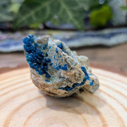 Blue Veszelyite Specimen